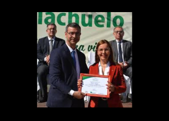 LOS JETTER CONTRA LAS CUERDAS
