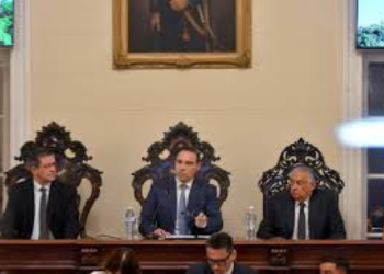 AÑO LEGISLATIVO CORRENTINO: FORMALISMOS Y ROSCA