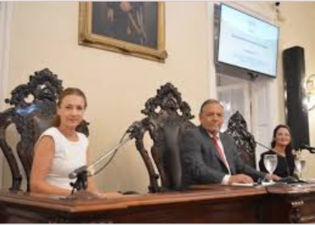 ¿MENSAJEROS O LEGISLADORES? EL ROL DESDIBUJADO DE LOS CONCEJALES