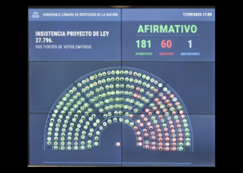 LÍMITES AL VÉRTIGO PRESIDENCIAL DE MILEI