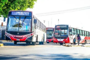 LA TRAMA SECRETA: TODO A FAVOR DE ERSA