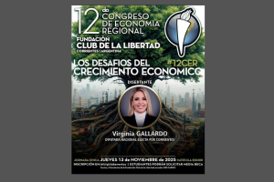 DEL CORAZÓN AL CONGRESO, SIN PLANILLAS NI PROYECTOS
